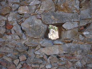 Monte Castellaccio